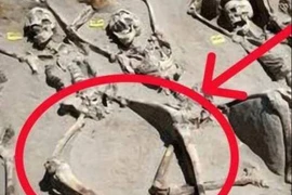 Lý do chân của phi tần chôn trong mộ cổ bị tách ra