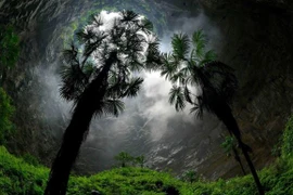 Bí ẩn khu rừng cổ đại dưới hố sâu 200m ở Trung Quốc