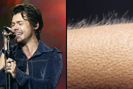 Khoa học lý giải hiện tượng nổi da gà