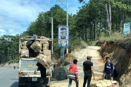 Xe tải lớn chở hoa Đà Lạt gặp khó khi vào chợ Đầm Sen 