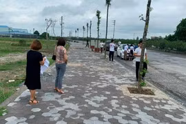 Vì sao nhiều cuộc đấu giá đất ở Hà Nội bị tạm dừng bất ngờ?