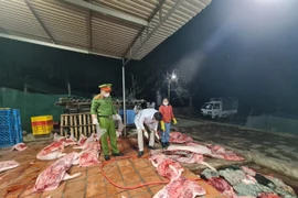 Lời khai nữ chủ cơ sở giết mổ hơn 1 tấn lợn chết ở Bắc Giang