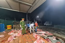 Lời khai nữ chủ cơ sở giết mổ hơn 1 tấn lợn chết ở Bắc Giang