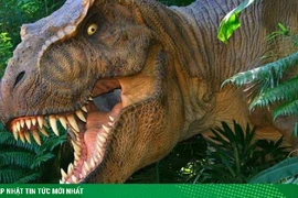 Sự thật đáng thất vọng về khủng long bạo chúa 