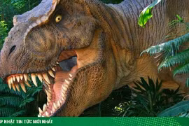 Sự thật đáng thất vọng về khủng long bạo chúa 