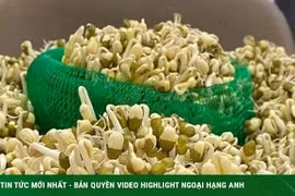 Giá đỗ giàu dinh dưỡng, giúp cải thiện dinh dưỡng