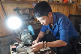 Xã miền núi thu gần 100 tỷ đồng mỗi năm từ cây dó trầm