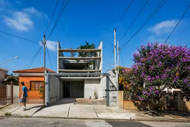 Khu vườn xanh mướt biến nhà ống thành nơi đáng sống