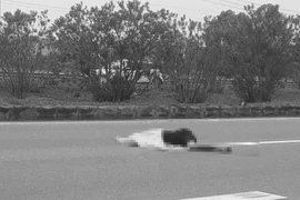 Người đàn ông đi bộ trên cao tốc Hà Nội - Thái Nguyên bị đâm tử vong