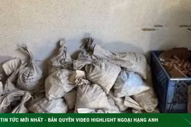 Dọn nhà của bố, đôi vợ chồng phát hiện kho báu dưới tầng hầm