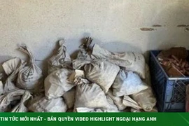 Dọn nhà của bố, đôi vợ chồng phát hiện kho báu dưới tầng hầm