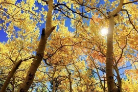  Làm 3 điều này, bạn sẽ giàu có ở tuổi trung niên