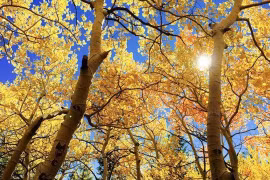  Làm 3 điều này, bạn sẽ giàu có ở tuổi trung niên