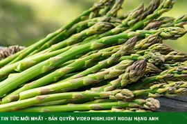 Măng tây- vua của các loại rau, giúp thải độc, cải thiện trí nhớ