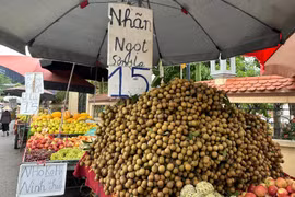 Giá rẻ bất ngờ, thị trường nhãn tươi lại ảm đạm hiếm thấy