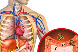 Các dấu hiệu nội tạng đang chứa lượng "rác" quá lớn, cần thanh lọc ngay