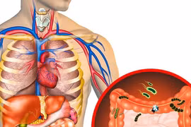 Các dấu hiệu nội tạng đang chứa lượng "rác" quá lớn, cần thanh lọc ngay