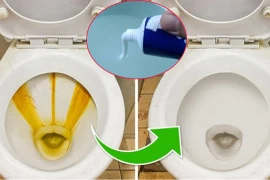 Hòa kem đánh răng với nước vo gạo thành chất tẩy rửa tuyệt vời