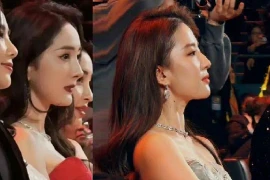  Lưu Diệc Phi- sự kết hợp phi thường giữa khí chất và nhan sắc