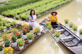 Nhiều chương trình ấn tượng tại Festival Hoa - Kiểng Sa Đéc 