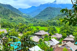 Độc đáo nếp nhà sàn làm từ gỗ samu quý hiếm ở ngôi làng Thái cổ