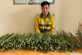 Hà Nội: Bắt thanh niên bán quả thuốc phiện trước cổng trường Đại học