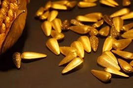 Đây là lý do phi tần nhà Minh đều ước được ban thưởng kim qua tử 