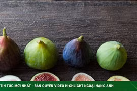 Tuyệt chiêu chế biến món ngon, lạ miệng từ quả sung