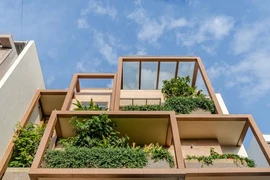 Ngôi nhà đặc biệt với mặt tiền hình học và nhiều cây xanh