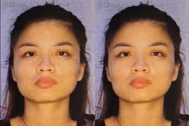 Hà Nội: Nữ quái 'cuỗm' hơn 1 tỷ đồng và iPhone 14 Promax của công ty