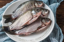 Kinh nghiệm chọn mua cá diếc đất và cá diếc ao