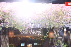 Cửa Ngõ Café gây sốt giới trẻ Đà Nẵng bởi không gian đậm nét Tây Bắc