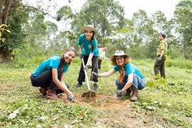  Đạo diễn hé lộ những thử thách trong show thực tế Miss Earth Vietnam 2023?