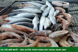 Mẹo an toàn khi ăn hải sản, tránh dị ứng 