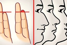 8 bộ phận cơ thể tiết lộ tính cách con người bạn