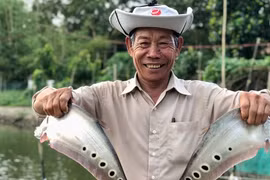 Nuôi loại cá đặc sản, một nông dân Hậu Giang trở thành tỷ phú