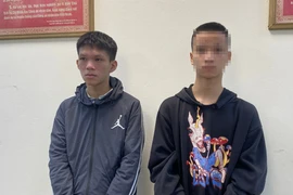 Thiếu niên 14 tuổi cùng bạn chém người phụ nữ, cướp xe