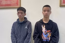 Thiếu niên 14 tuổi cùng bạn chém người phụ nữ, cướp xe