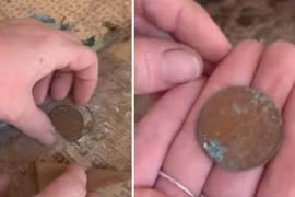  Đi dọn dẹp thuê, cô gái vô tình phát hiện 'báu vật'