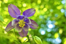 Người sinh giờ này biết quản lý chi tiêu, không lo nghèo