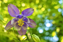 Người sinh giờ này biết quản lý chi tiêu, không lo nghèo