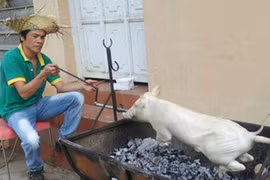 Những dịch vụ “shock, độc, lạ” ở Sài Gòn