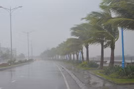 Hình ảnh bão số 5 đổ bộ dữ dội vào Quảng Ninh