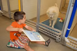 Mỹ: Trẻ em thích đọc sách cho chó