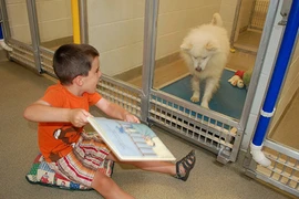 Mỹ: Trẻ em thích đọc sách cho chó