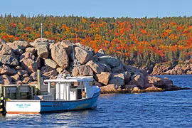 Được cho không 8000m2 đất nếu đến đảo Cape Breton làm việc