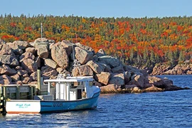 Được cho không 8000m2 đất nếu đến đảo Cape Breton làm việc