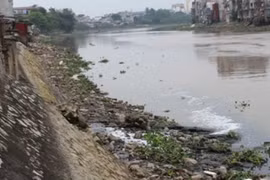 Nhà máy giấy gây ô nhiễm sông Lạch Tray bị phạt 400 triệu