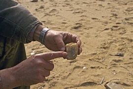 Phát hiện chấn động có thể thay đổi quan niệm về tổ tiên người Việt