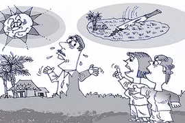 Mâu thuẫn đất đai, em dâu quyết dồn anh chồng vào tù